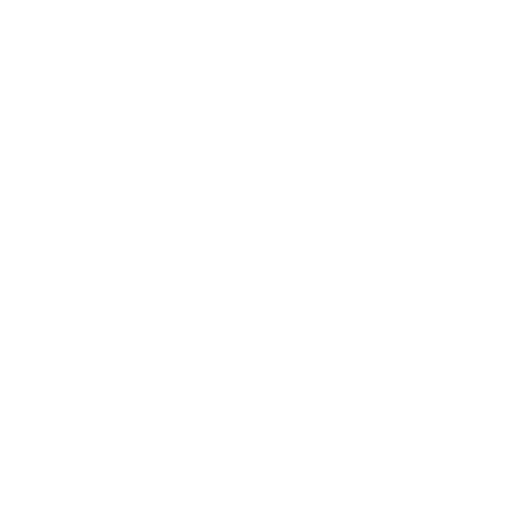 Ecopneus logo 2022 bianco (apre in una nuova finestra)
