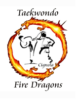 Taekwondo fire dragons (apre in una nuova finestra)